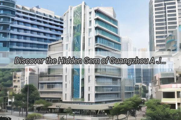 Discover the Hidden Gem of Guangzhou A Journey to DR Store at Address